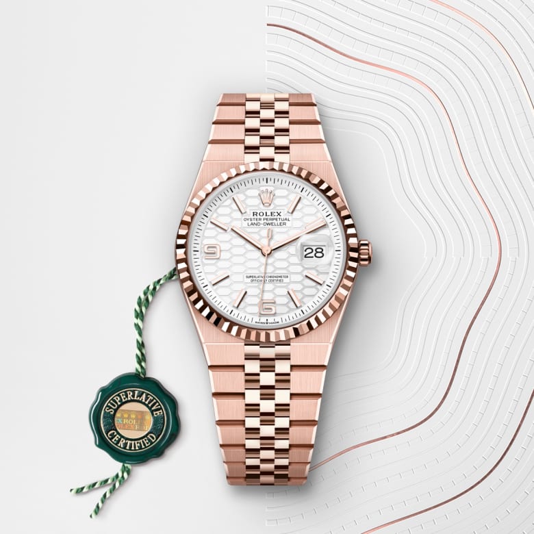 rolex Land-Dweller in 18 ct Everose gold, M127235-0001 - Globaltimepieces