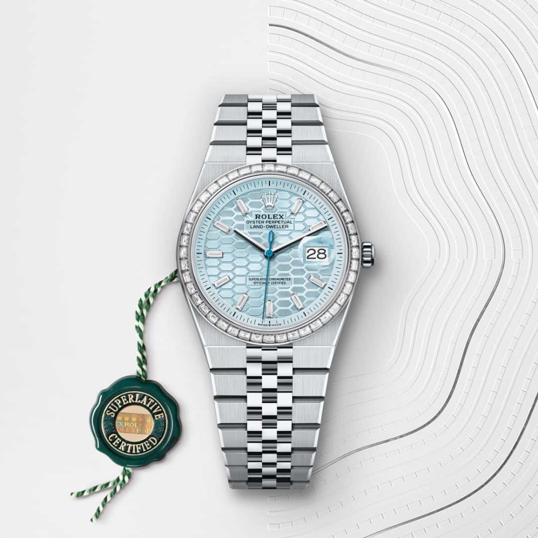 rolex Land-Dweller in Platinum, M127286TBR-0001 - Globaltimepieces